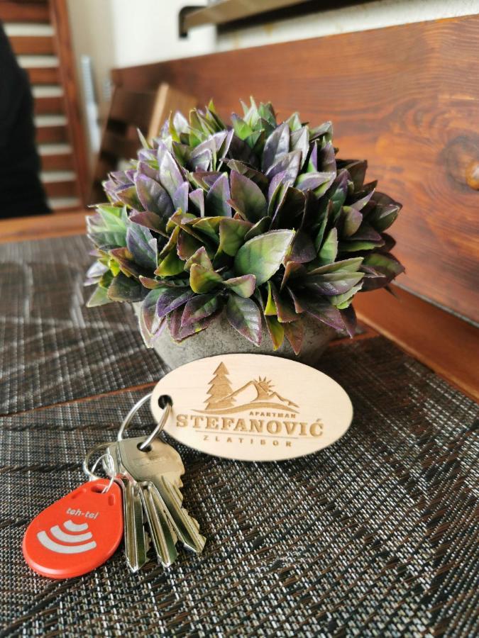 Apartman Stefanovic Vila Darija Lux Zlatibor Luaran gambar
