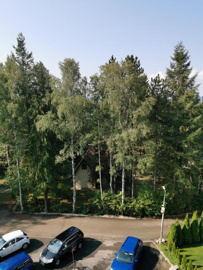 Apartman Stefanovic Vila Darija Lux Zlatibor Luaran gambar
