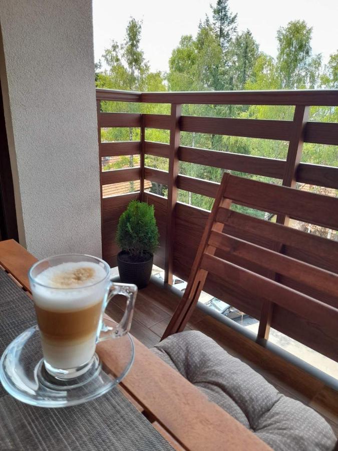 Apartman Stefanovic Vila Darija Lux Zlatibor Luaran gambar